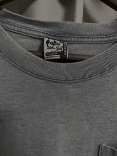 チャムスTシャツ