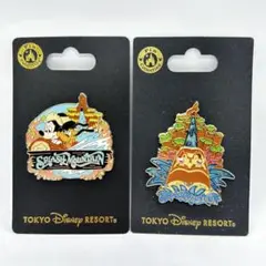 スプラッシュマウンテン ピンバッジ disney ディズニーワールドピンスプラッシュマウンテン ピンバッジ