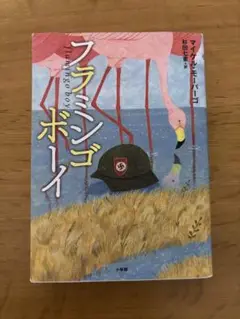 フラミンゴボーイ