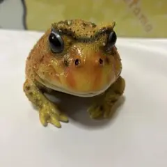 リアル　カエルの置物