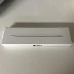 Apple Pencil (USB-C)