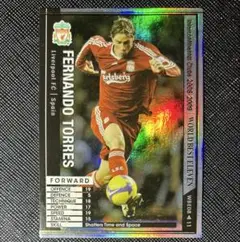 PANINI WCCF WBE フェルナンドトーレス