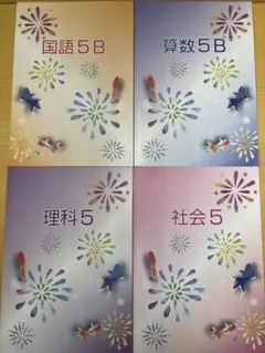 夏期講習テキスト　小学5年生 小5 基礎 国語 算数 理科 社会