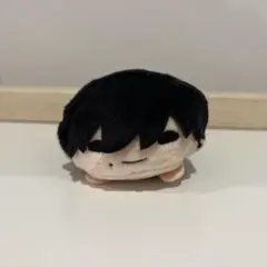 吉田ヒロフミ 着せ替えぬいぐるみ【スケルトンあり】 吉田ヒロフミ 着せ替えぬいぐるみ【スケルトンあり】 - メルカリ