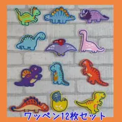 恐竜 ワッペン 刺繍 アイロンワッペン きょうりゅう 12枚セット