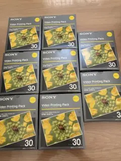 Item thumbnail for item 2dcf3b6d-9d73-4236-97a0-e2fcfe02e399