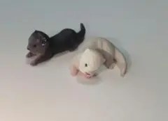 カプセルアニア カプセルトイ