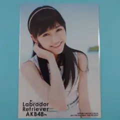 「送料込み」AKB48 渡辺麻友生写真 ラブラドールレトリバー 通常盤封入特典