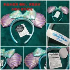 Item thumbnail for item c18dcb7b-5390-4beb-802a-9f792eb19873