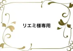 Auie F キャンディスリーブシアーブラウス4004