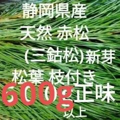 Item thumbnail for item d63a42c6-a953-47e5-951b-ea719178a5df