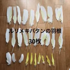 ルリメキバタン　オウム　羽根　30枚　大・中・小　ハンドメイド 手芸　白　黄色