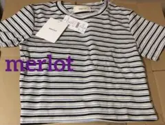 merlot ストライプ 半袖Tシャツ フリーサイズ
