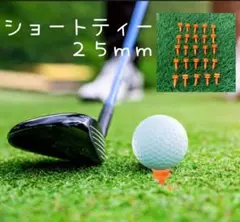 ショートティー 25mm 25本セット 新品！