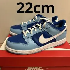 NIKE ダンク LOW 22cm アルゴン
