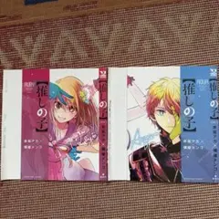週刊ヤングジャンプ付録【推しの子ブックカバー(着せ替え)】