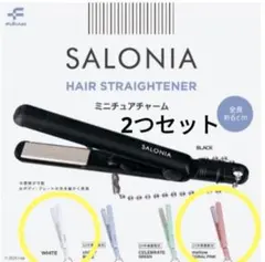 サロニア ミニチュアチャーム　ガチャ　新品　2つセット　ガチャガチャ　匿名配送
