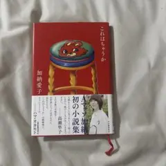 これはちゃうか　加納愛子　河出書房
