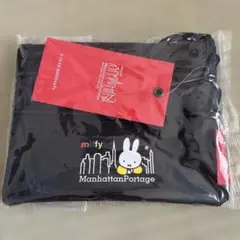 Item thumbnail for item 43ba58da-2efe-466b-9afe-90965f592d0a