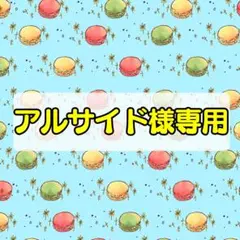 雑賀孫一様　専用ページ