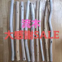 Item thumbnail for item dcc8274e-6af0-4dc9-95f5-4706b2d82f0b