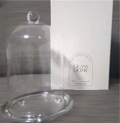 2個セット✨ 3COINS スリコ ガラスドーム ガラス ウェルカム インテリア