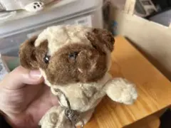 Pugグッズ／まとめ売り
