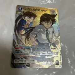 毛利蘭＆江戸川コナン MR