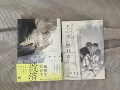 BL漫画（君の夜に触れる）