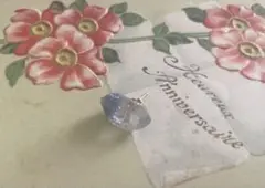 Item thumbnail for item 195c69e8-094f-45d4-b72c-3dfbd2057b80