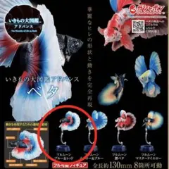 m54122886688_1.jpg?1721740671