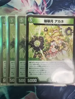 爆翠月 アカネ　4枚