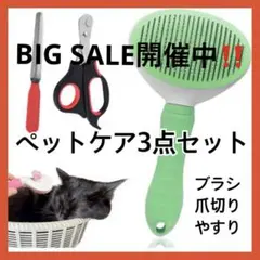 Item thumbnail for item bdf7b3a9-17cb-466b-9605-5f3fe48cd394