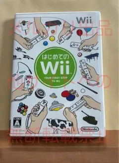 はじめてのWii