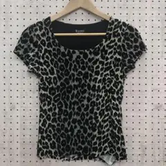 Item thumbnail for item 1d8e86b1-ae66-44d1-9a28-9953b88db2db