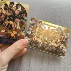 超RIZIN2&3 2枚セット売り　ポテトスティック
