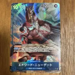 エドワーズニューゲートSRパラレル