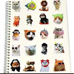 猫キャラクターシールセット