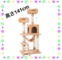 Item thumbnail for item f6b1eee6-0c3e-42e7-ba55-441fa77c6152