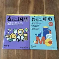 陰山メソッド 徹底反復 6年生の国語 算数 2冊セット【未使用】