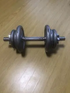 ダンベル　約１２.５Kg