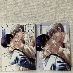 嫌いでいさせて　朝永先生と柳木先生2 アニメイト限定小冊子付き