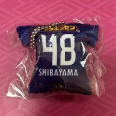 セレッソ大阪　柴山昌也　クッションキーホルダー