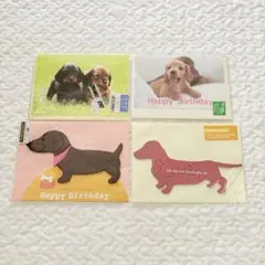 Item thumbnail for item ce5af9e4-2bcb-4e9c-a70f-7674588d08b4