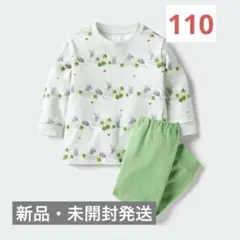 Item thumbnail for item 34f97cbc-cb0d-4e04-94bb-678adcb5a146