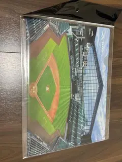 北海道日本ハムファイターズ ESCON FIELD クリアファイル