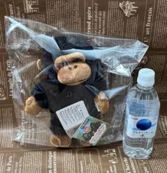 Item thumbnail for item 7e26c0d7-2382-4840-9cd3-7aaee740bbab