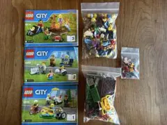 Item thumbnail for item d097a2ea-90e8-4bdb-aff2-db23881ffc5e