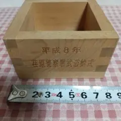 Item thumbnail for item 07479c73-6978-4d34-b7b0-008f5341d9ed