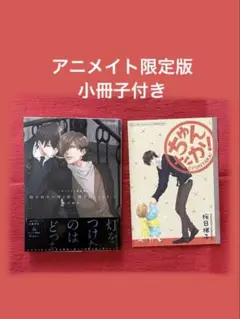 抱かれたい男1位に脅されています。 2巻　桜日悌子 アニメイト限定版　小冊子